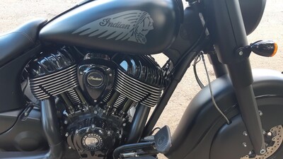 Indian Chief Dark Horse