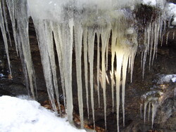 Zimn&iacute; přechod přes Novohradsk&eacute; hory