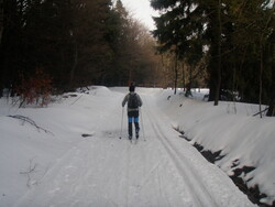 Orlick&eacute; hory jsou vyhl&aacute;&scaron;en&yacute;m r&aacute;jem běžkařů