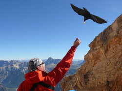 Via ferrata Ivano Dibona