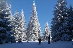 Zimn&iacute; v&yacute;stup na Velk&yacute; Choč