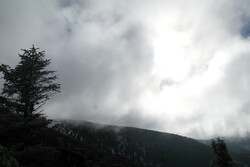 Kr&aacute;lick&yacute; Sněžn&iacute;k v zimě