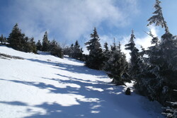 Kr&aacute;lick&yacute; Sněžn&iacute;k v zimě